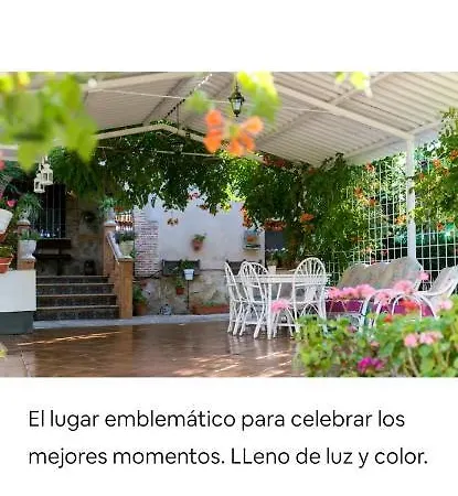 Los Olivos * Miguel Esteban